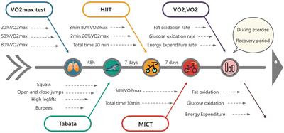 A comparative analysis of energy expenditure and substrate metabolism in male university students with overweight/obesity: Tabata vs HIIT and MICT